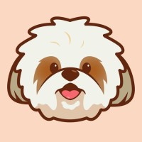 Shihtzu