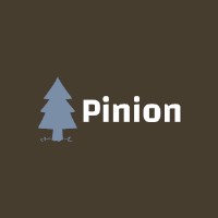 Pinion Consulting, Llc