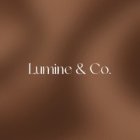 Agência Lumine & Co. logo - Similar company to Grupo Naju Cosméticos