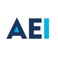 Alternative Energy Ireland logo - Similar company to Local Power Ltd