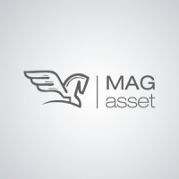 Magasset logo - Similar company to Inmoparck
