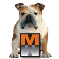 Master Wall Inc. logo - Similar company to Rld Metal Building Components