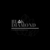 Blvk Diamond logo - Similar company to Energy And Information Logistics Group Limited