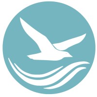 Ceeblue logo - Similar company to Mwaretv