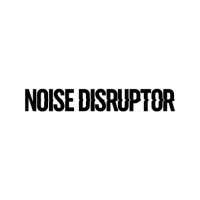 Noise Disruptor logo - Similar company to On Track Learning