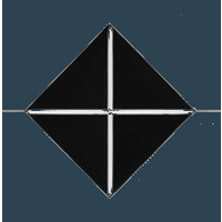 dentropy logo - Similar company to Fossil