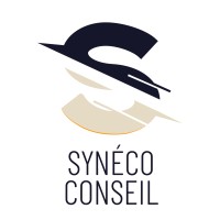 Synéco conseil logo - Similar company to Exo
