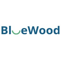 BlueWood Kids logo - Similar company to Honey Joy