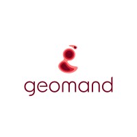 geomand logo - Similar company to Emmsoft