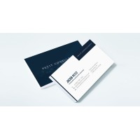 Petit Consultancy logo - Similar company to Moulati