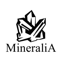 MineraliA logo - Similar company to Minéralia