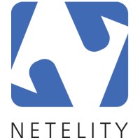 Netelity Websolutions Pvt.Ltd. logo - Similar company to Quick Ops Infotech