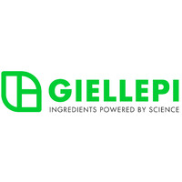 Giellepi SpA logo - Similar company to Euronational