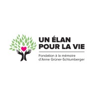 Momentum for life Foundation logo - Similar company to Fondation Palliami