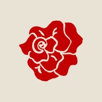 Aesthetic Florist logo - Similar company to Florist Studio