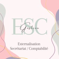 ESC GESTION logo - Similar company to Lys Digital