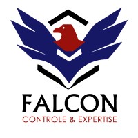 FALCON CONTROLE & EXPERTISE logo - Similar company to Douce Terre - Atelier Céramique