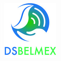 DSBELMEX logo - Similar company to Zonainnova