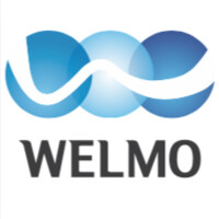 WELMO logo - Similar company to Gva Tech