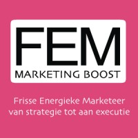 FEM Marketing Boost logo - Similar company to Get Big | Marketing & Webdesign