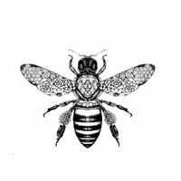 Beeswax Wraps Australia logo - Similar company to Beeswax Ltd