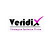 Veridix Consulting logo - Similar company to Smartbuilds