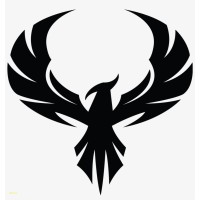 Phoenix Global Business Management Consulting logo - Similar company to Phoenix Global Management Consultants