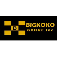 Bigkoko African Integrated Services Ltd logo - Similar company to Zutail