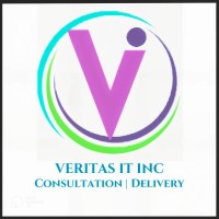 Veritas IT INC logo - Similar company to Entity It Tek Inc