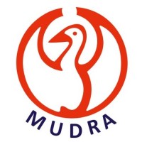 Mudra Computers logo - Similar company to Viit