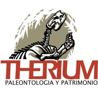 Therium Servicios Profesionales Ltda. logo - Similar company to Australmat