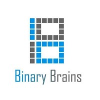 Binary Brains,Nagpur logo - Similar company to Binary Brains