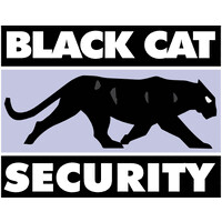 Black Cat Security logo - Similar company to Access 1 Security Systems