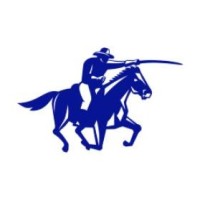 CavalRe logo - Similar company to Avant Protocol