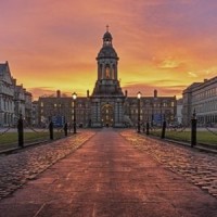 Trinity College Dublin Alumni logo - Similar company to Trinity College Dublin