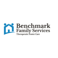 Benchmark Family Services Mishawaka Indiana logo - Similar company to Benchmark Human Services