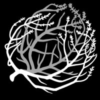 Tumbleweed Pioneer logo - Similar company to Apex Realty
