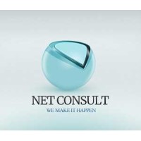 Net Consult logo - Similar company to Collabryte