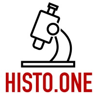 HistoOne AB logo - Similar company to Annotly