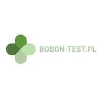 Boson-Test.PL logo - Similar company to Bnd Inc.