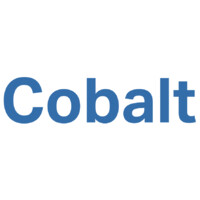 Cobalt Development Partners logo - Similar company to Local Capital Group