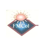FUTURE MANAGEMENT CONSULT INTERNATIONAL logo - Similar company to Mofer_Ethiopia