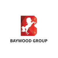 Baywood Group logo - Similar company to Pocket Plug