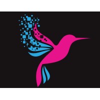 Savvypro Consulting Ltd logo - Similar company to Zynle