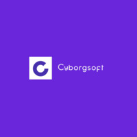 Cyborgsoft logo - Similar company to Bnbxtech