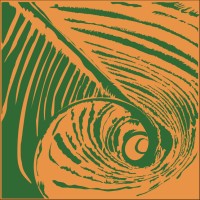 Agroflorestando - Ao Pé da Planta logo - Similar company to Associação Brasileira De Estudantes De Engenharia Florestal