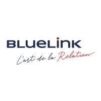 Bluelink International Chile logo - Similar company to Bluelink Group