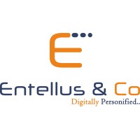 Entellus & Co logo - Similar company to Airaviator