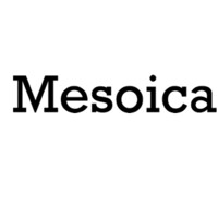 Mesoica logo - Similar company to Sickinger Partners Group