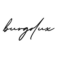 Burgolux Ltd logo - Similar company to Severn Delta Limited